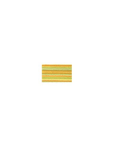 Hilo Anchor mouliné bordar mano multicolor 4615, 12 madejas