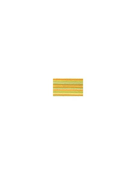 Hilo Anchor mouliné bordar mano multicolor 4615, 12 madejas