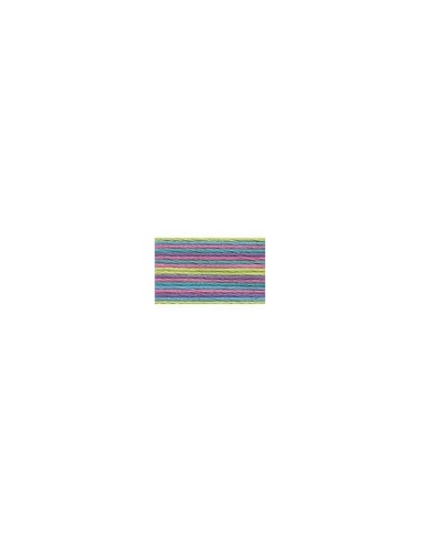 Hilo Anchor mouliné bordar mano multicolor 4615, 12 madejas