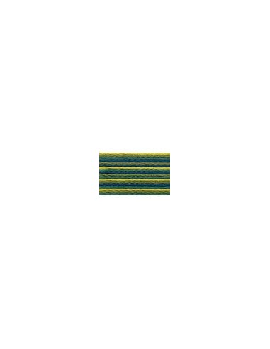 Hilo Anchor mouliné bordar mano multicolor 4615, 12 madejas