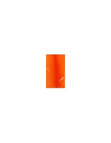 Pluma indio, u