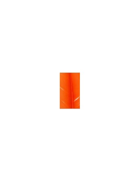 Pluma indio, u