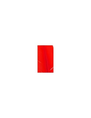 Pluma indio, u