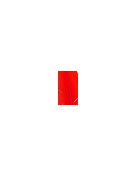 Pluma indio, u