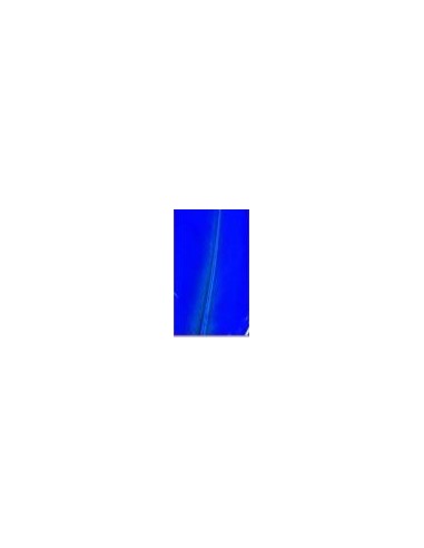 Pluma indio, u