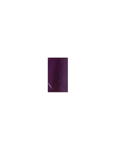 Pluma indio, u