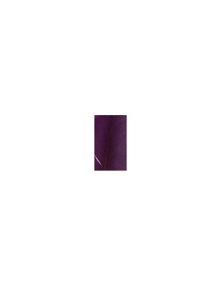Pluma indio, u