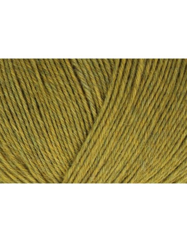 Lana Regia Premium Merino Yak 9801630, ovillo 100 gr.