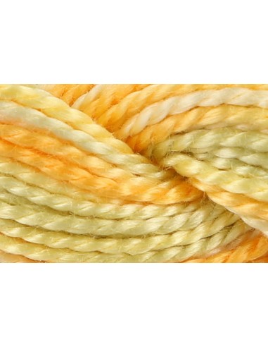 Hilo Anchor Perlé bordar mano multicolor Nº 5 4515, 12 madejas