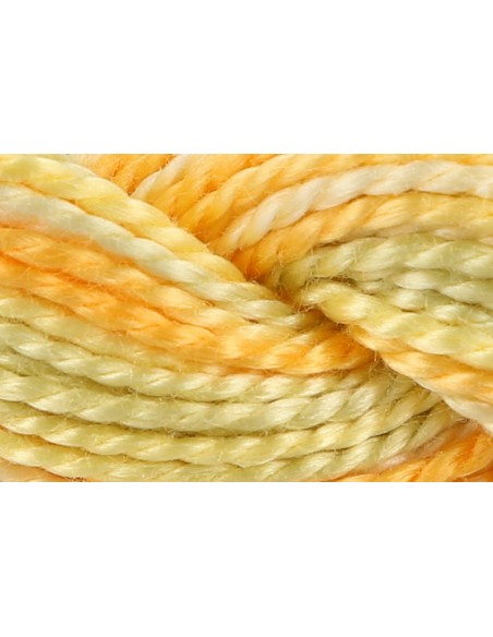 Hilo Anchor Perlé bordar mano multicolor Nº 5 4515, 12 madejas