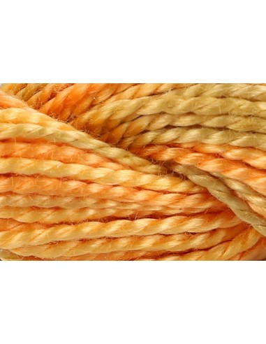 Hilo Anchor Perlé bordar mano multicolor Nº 5 4515, 12 madejas