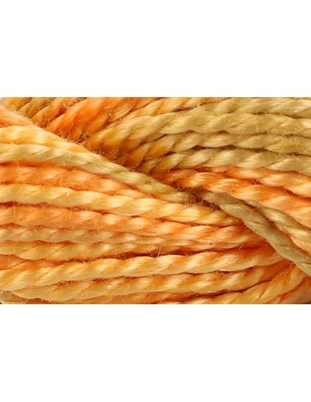 Hilo Anchor Perlé bordar mano multicolor Nº 5 4515, 12 madejas