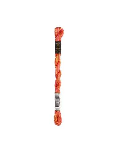 Hilo Anchor Perlé bordar mano multicolor Nº 5 4515, 12 madejas