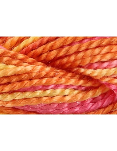 Hilo Anchor Perlé bordar mano multicolor Nº 5 4515, 12 madejas