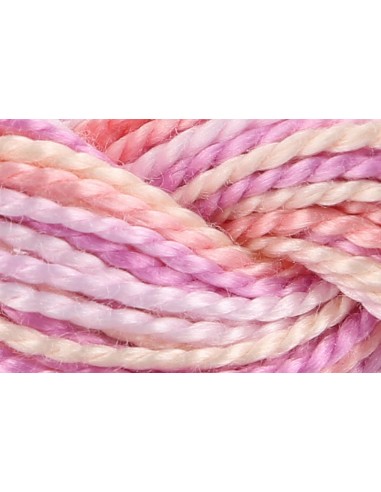 Hilo Anchor Perlé bordar mano multicolor Nº 5 4515, 12 madejas