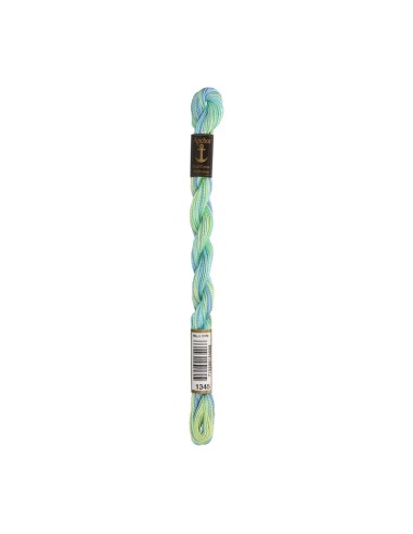 Hilo Anchor Perlé bordar mano multicolor Nº 5 4515, 12 madejas