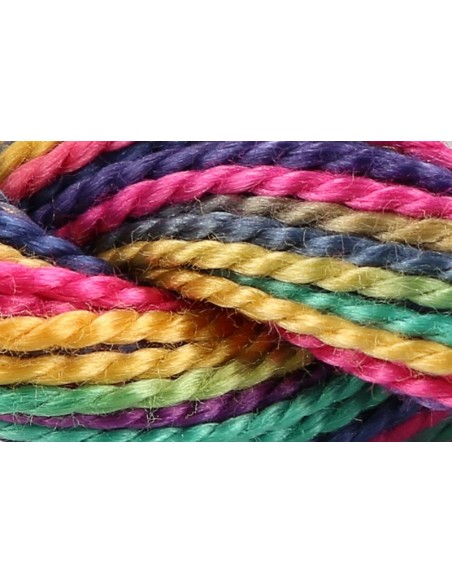 Hilo Anchor Perlé bordar mano multicolor Nº 5 4515, 12 madejas