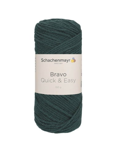Lana SMC Bravo Quick & Easy 9807590, ovillo 100 gr.