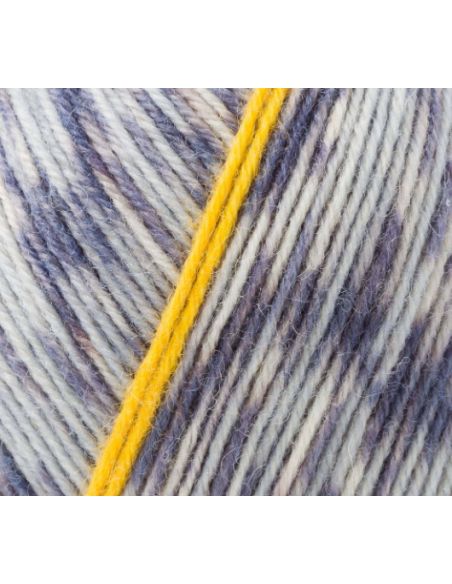 Lana Regia Socks Pairfect 4-ply 9801613, ovillo 100 gr