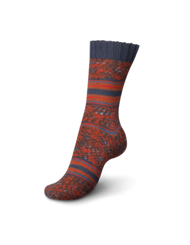 Lana Regia Socks Pairfect 4-ply 9801613, ovillo 100 gr