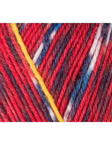 Lana Regia Socks Pairfect 4-ply 9801613, ovillo 100 gr