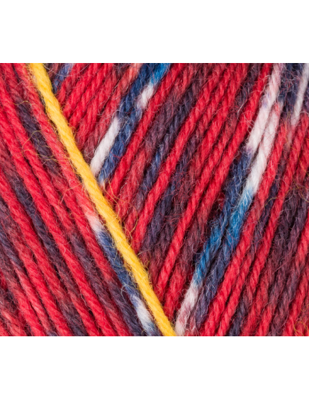 Lana Regia Socks Pairfect 4-ply 9801613, ovillo 100 gr
