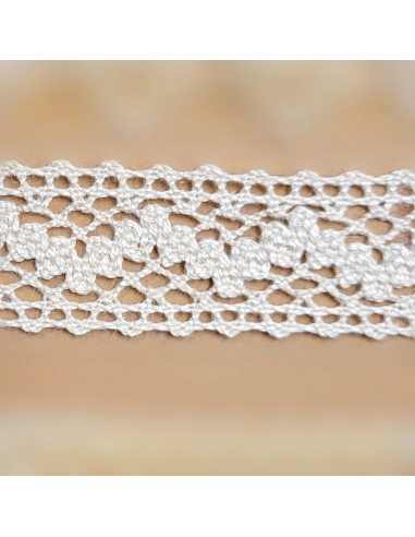 Puntilla bolillo mercerizado 9228 (2,50 cm), m