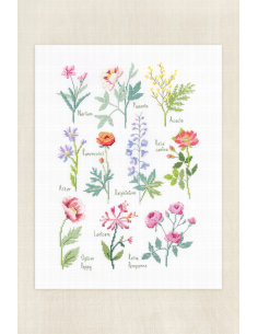 Kit punto de cruz intermedio DMC Botanical Sampler BK1989 2