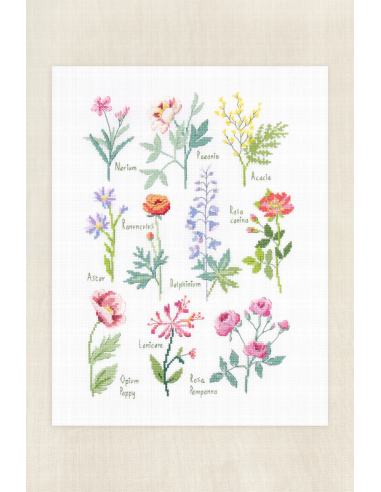 Kit punto de cruz intermedio DMC Botanical Sampler BK1989