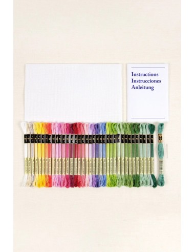 Kit punto de cruz intermedio DMC Botanical Sampler BK1989