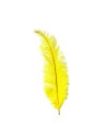 Pluma chick 45 cm, u