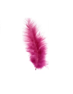 Pluma Marabú, 10 u