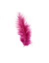 Pluma Marabú, 10 u