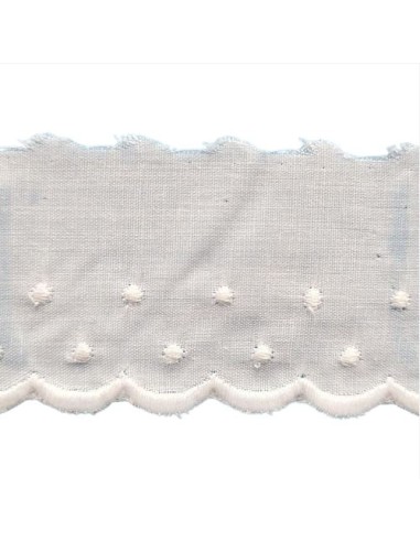 Bordado con plumeti 11694  (4 cm), m