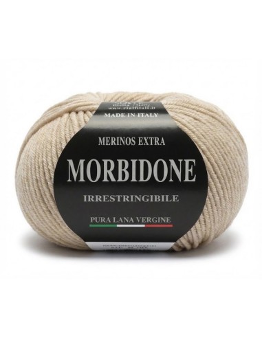 Lana Morbidone 100 gr Rial Filati