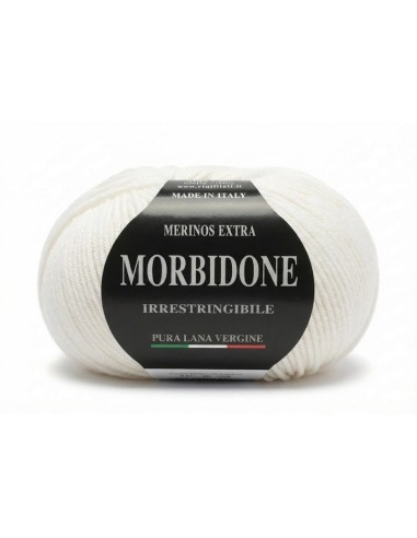 Lana Morbidone 100 gr Rial Filati