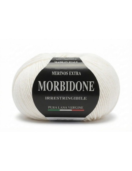 Lana Morbidone 100 gr Rial Filati