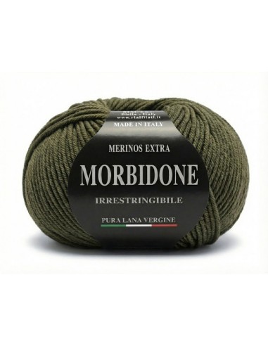 Lana Morbidone 100 gr Rial Filati