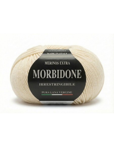 Lana Morbidone 100 gr Rial Filati