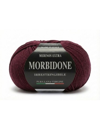 Lana Morbidone 100 gr Rial Filati