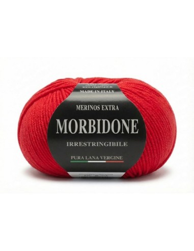 Lana Morbidone 100 gr Rial Filati