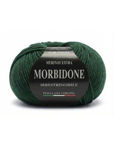 Lana Morbidone 100 gr Rial Filati