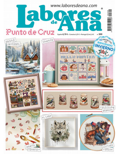 Revista Labores de Ana Nº 300