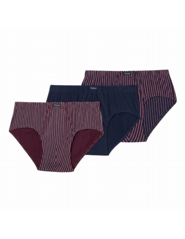 Slip 090 Abanderado AW 25/26, pack de 3 slips