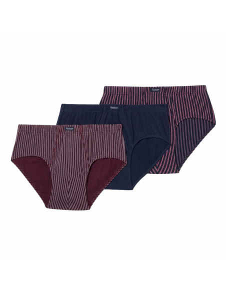 Slip 090 Abanderado AW 25/26, pack de 3 slips