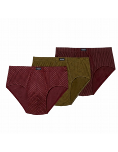 Slip 090 Abanderado AW 25/26, pack de 3 slips 2