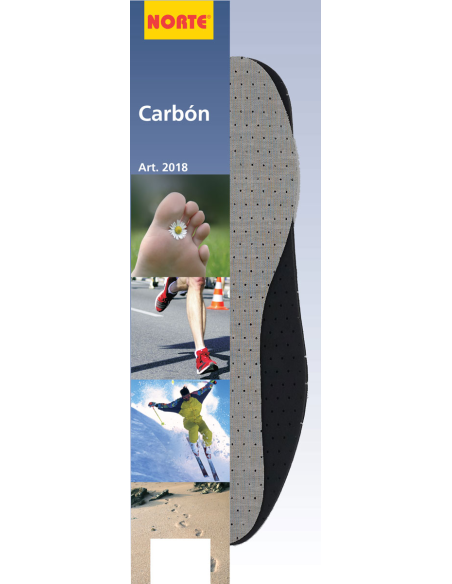 Plantilla carbono 2018, par