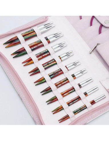Set agujas intercambiables KnitPro Symfonie2 Deluxe Especial 55510