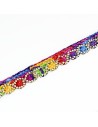 Pasamaneria multicolor KK1252, 10 m